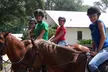 $125 For Two English Riding Lessons (Reg. $250) - Second Medium