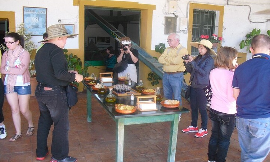 Image 2: Excursión de un día a Molino de Aceite y Mercado Agroalimentario de...