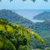 Image 9: Private Luxury Daintree Dream Tour All Inclusive