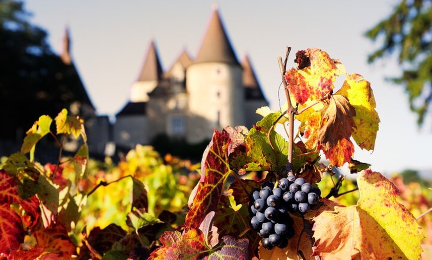 Image 6: Excursion privée d'une journée de vin d'hiver dans le Beaujolais et...
