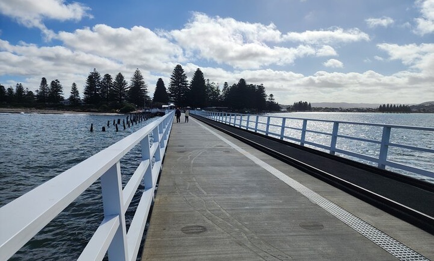 Image 3: Premium Victor Harbor, Port Elliot and d'Arenberg Minibus Tour