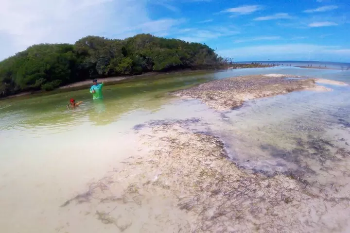 Florida Key Private Islands Exclusive Day Trip from Miami w/activ