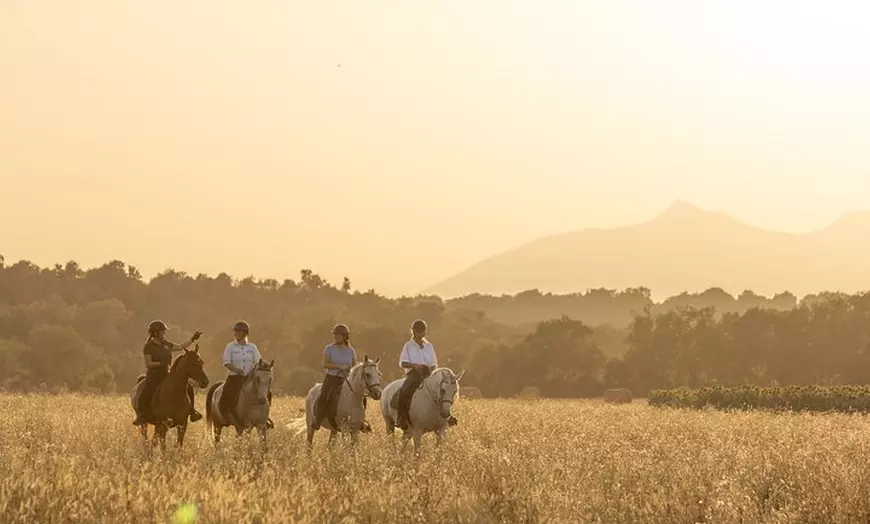 Image 3: A caballo entre viñedos y cata de vinos: Aventura y enoturismo