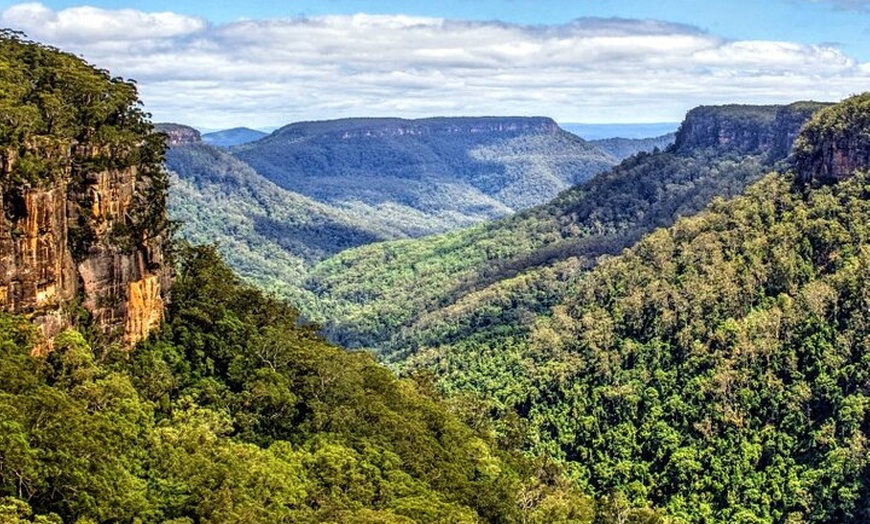 Image 4: From Sydney Private Tour of Waterfalls Wineries and Wildlife