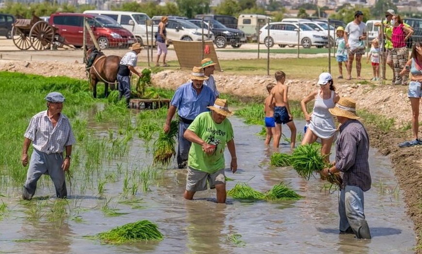Image 4: Inmersión Holística en la Reserva de la Biosfera de les Terres de l...