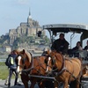 Image 3: Voyages guidés d'une journée au Mont Saint Michel au départ de Pari...