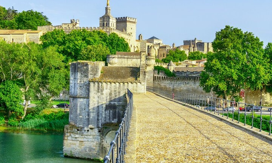 Image 7: Bonjour Avignon : Private 2 - Heure Intro City Walk avec Guide Local