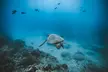 Private Boat Charter in Waikiki for Snorkeling and Events - Second Medium