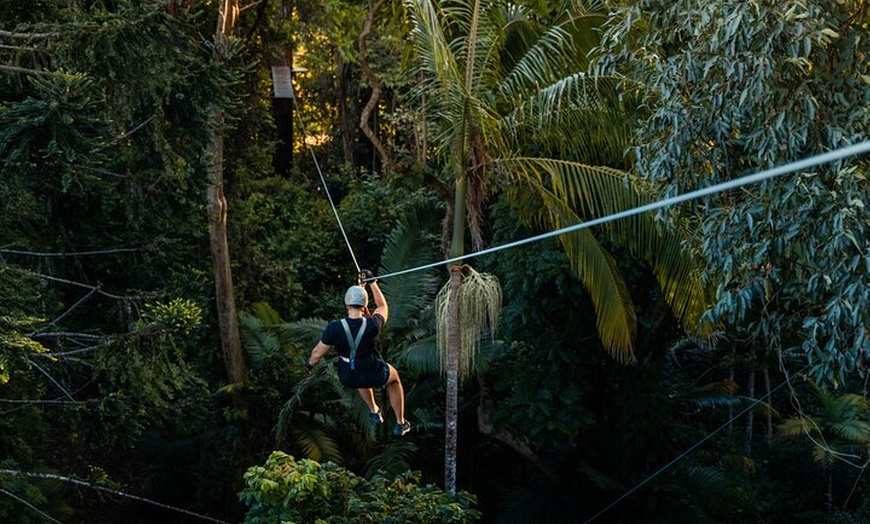 Image 9: Sunshine Coast Adventure Park TreeTop Challenge