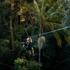 Image 9: Sunshine Coast Adventure Park TreeTop Challenge