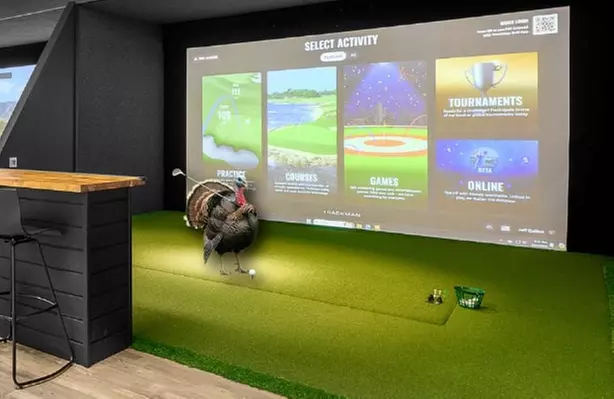 $30 For 60-Minute Golfing-Up To 4 Players (Reg. $60)