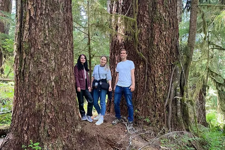 Seattle: Rainforest, Beach, and Olympic National Park Highlights