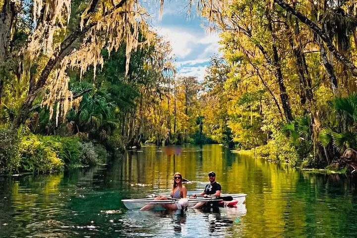Glass Bottom Kayak Tours of Silver Springs