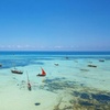 Image 3: ✈ SANSIBAR | Kizimkazi - Mandarin Resort Zanzibar 4*, 5 Nächte - Di...