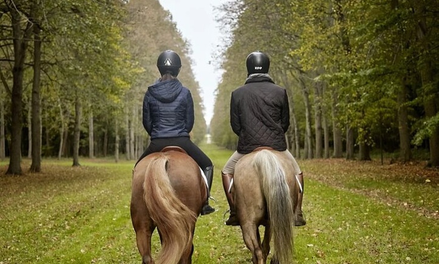 Image 4: Horse Tour Versailles