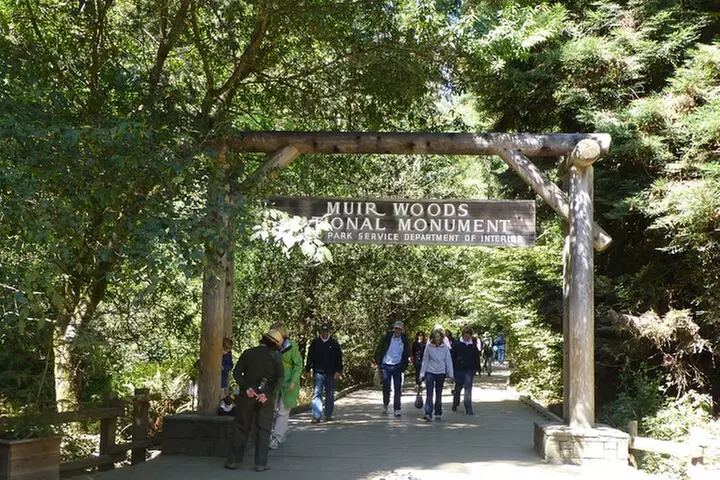 Muir Woods and Sausalito Tour (Half Day)