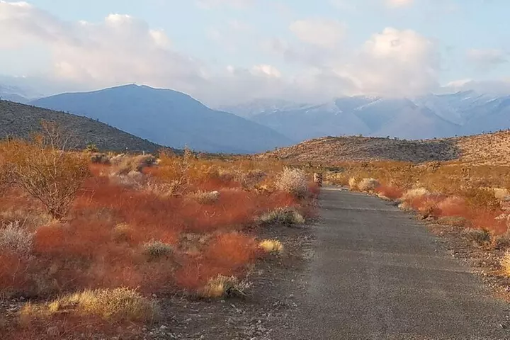 Las Vegas ATV Tours