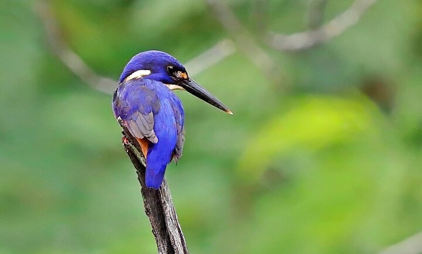 Image 15: Ord River Nature Boat Tour (minimum 2 passengers required)