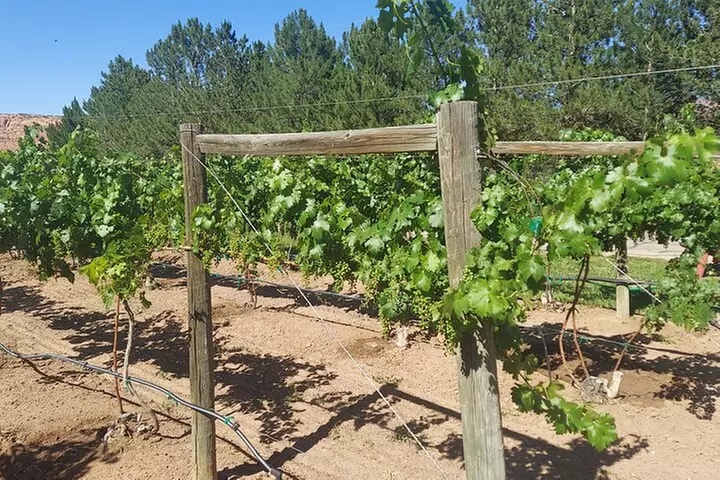 Moab Back Roads, History and Winery E-Bike Tour