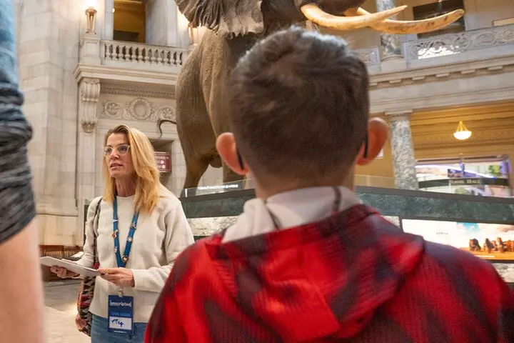 Smithsonian Highlights Walking Tour w/ Reserved Air & Space Entry