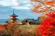 ✈ JAPAN | Von Osaka nach Tokio - Kyoto - Hakone - Tokyo Tour 3*, 9 Nächte - Rundreise - Image 7