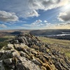 Image 3: Half day Guided Dartmoor Tour