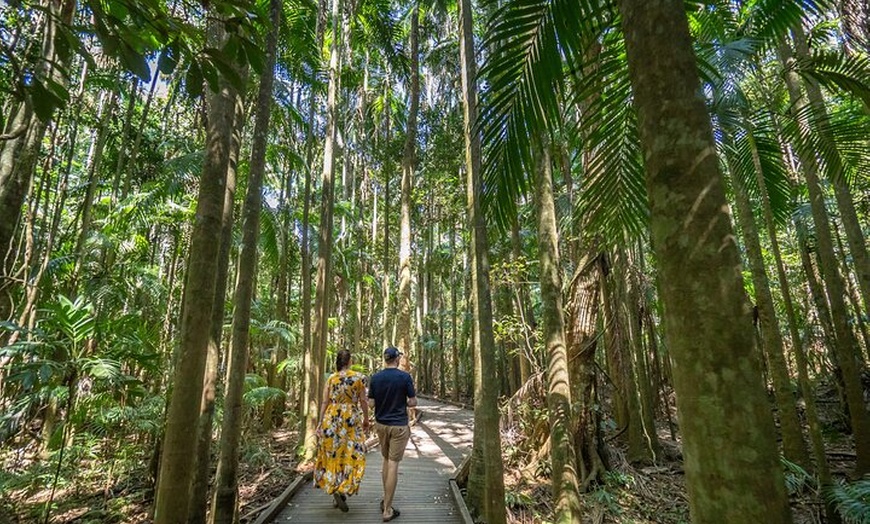 Image 7: Australia Zoo Private Group Tour from Brisbane