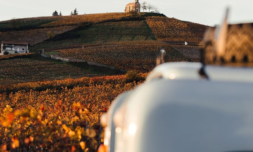 Image 8: Explorez le Beaujolais lors d'une visite privée d'une demi-journée ...
