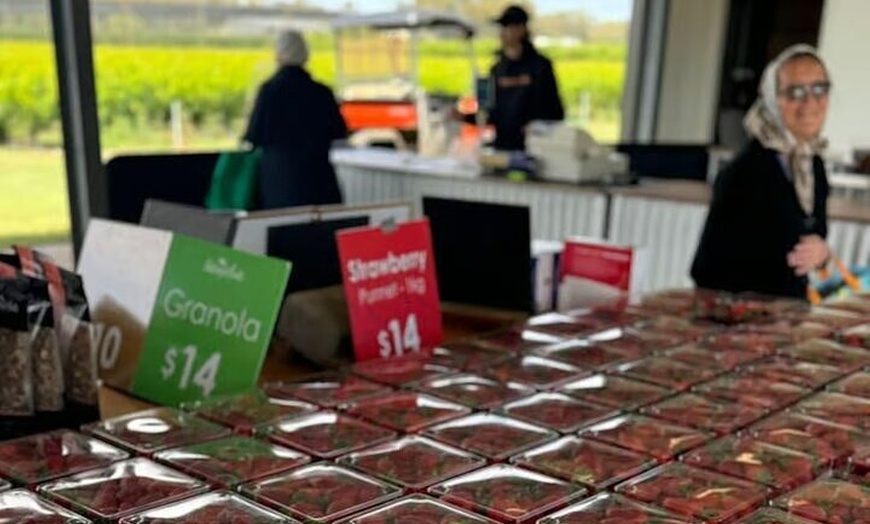 Image 22: Melbourne Private Ballarat Sovereign Hill Gold Mine Tours