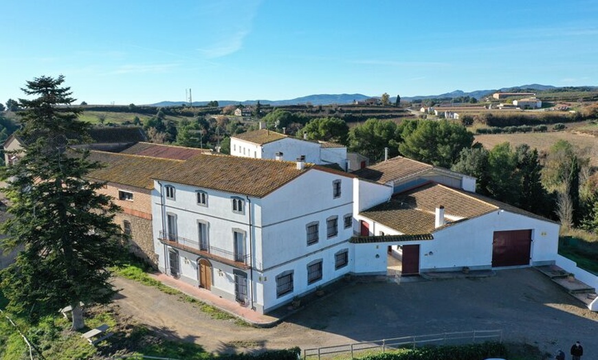Image 3: Ruta En Bicicleta Eléctrica Y Cata De Vinos
