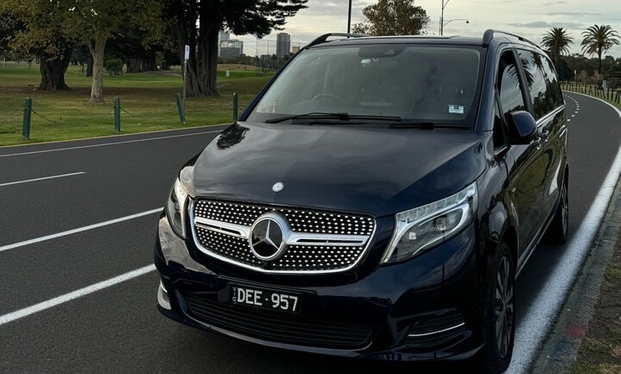 Image 2: Phillip Island Private Tour Penguins Wildlife and Scenic Views