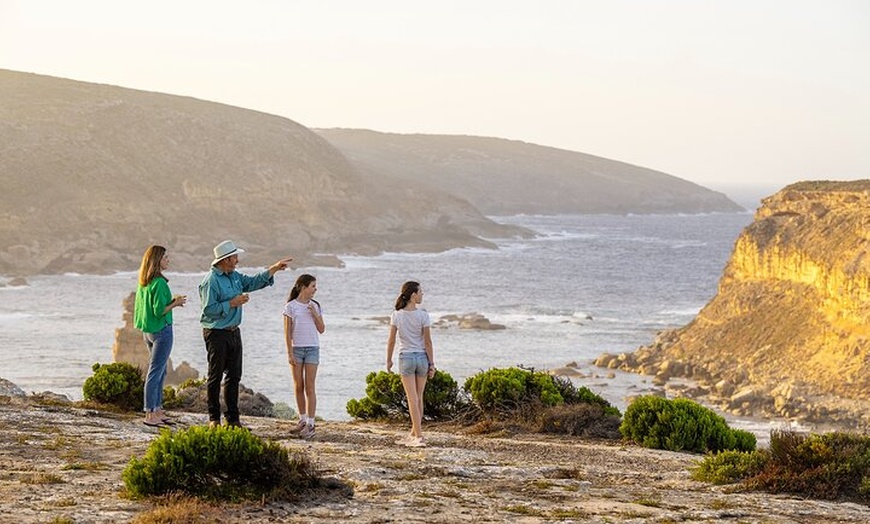 Image 2: Port Lincoln and Coffin Bay Day Tour