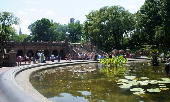 central park zoo groupon