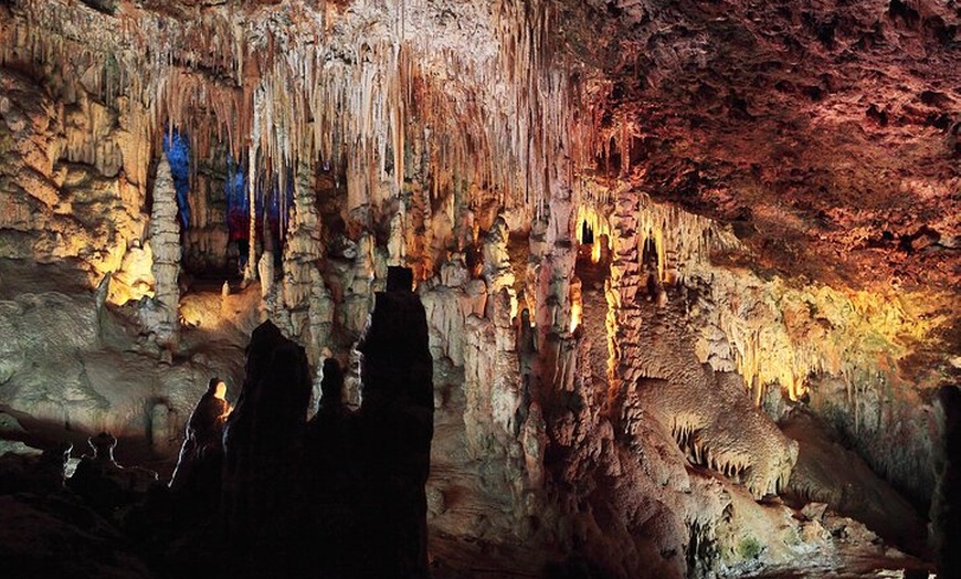 Image 6: Excursión de un día completo a las cuevas de Drach y Porto Cristo