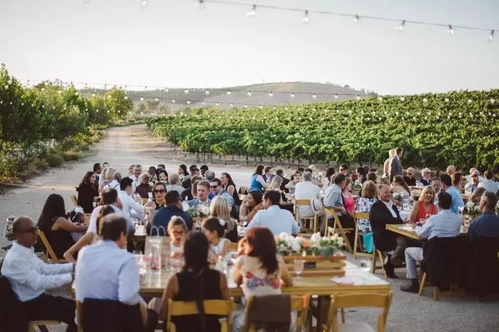 Temecula's Premier Wine Tasting Tour