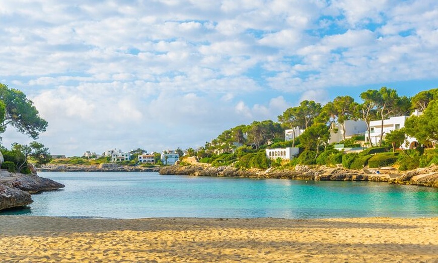Image 7: Observación de delfines y natación en Cala d'Or