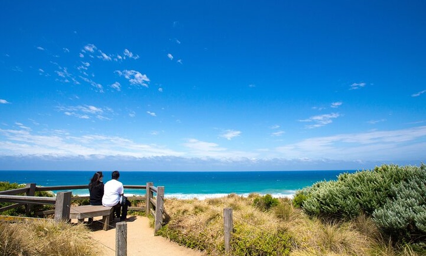 Image 9: Great Ocean Road Private Group Tour in Melbourne