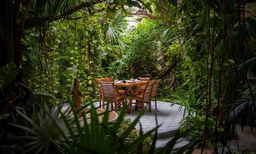 Image 12: ✈ MEXIQUE | Playa del Carmen - Hôtel Hul-Ku & Excursion à Isla Muje...