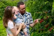 Hala Tree Coffee Farm Tour - Second Medium