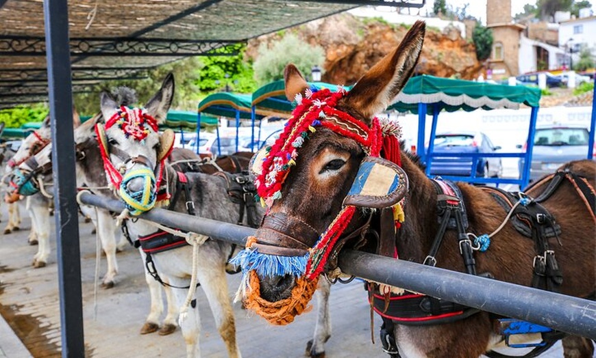 Image 9: Málaga con Catamarán y Mijas pueblo desde Estepona y Marbella