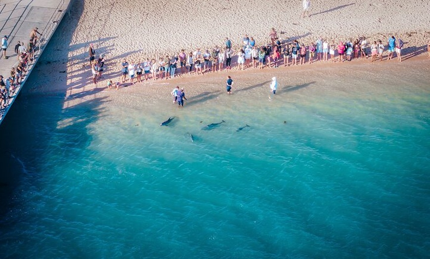 Image 3: Perth to Exmouth & Ningaloo Reef 8 Day Small-Group Boutique Tour