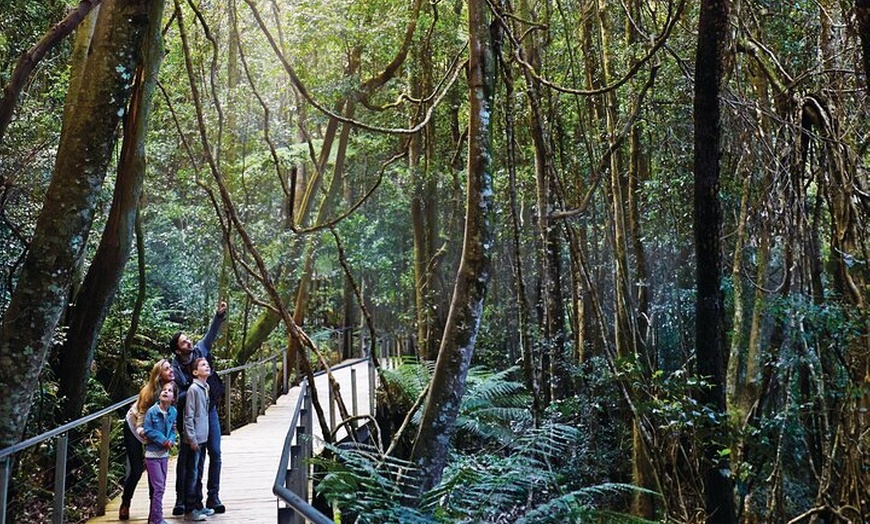 Image 14: Blue Mountains Day Tour -Scenic World, Koalas & Roos (10 ppl MAX)