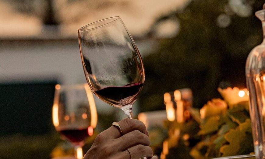 Image 21: Ibiza : Cata privada de vinos y aceites de oliva y Tapas y transporte