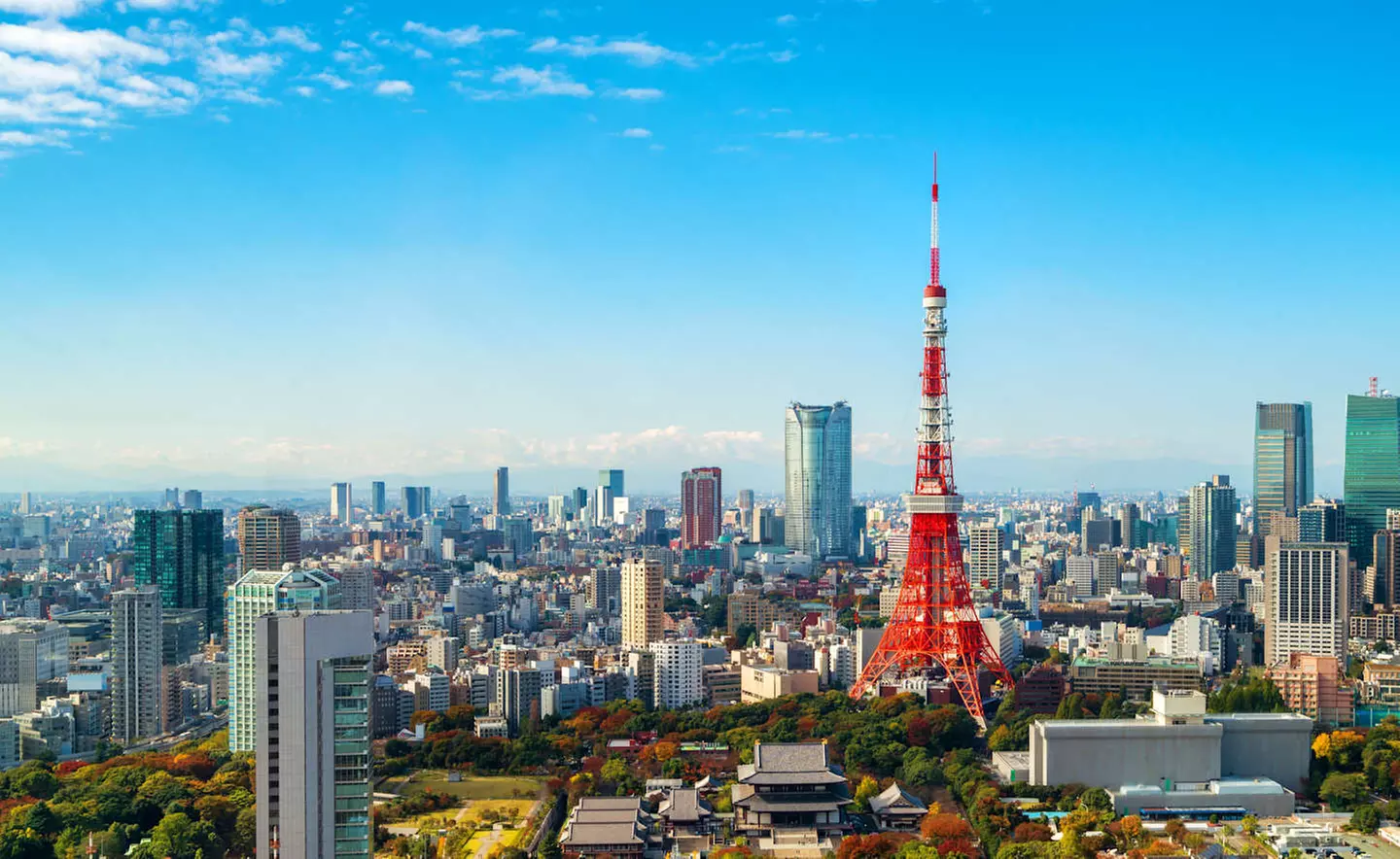 ✈ GIAPPONE | Tokyo - Alla scoperta del Giappone in hotel 4*, 13 not...