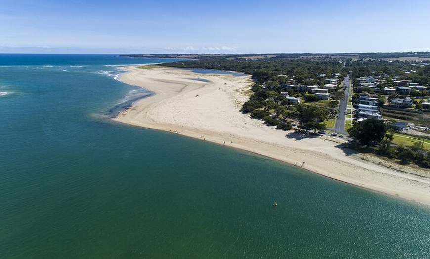 Image 2: Bunurong Coast and Penguin Parade Private Tour