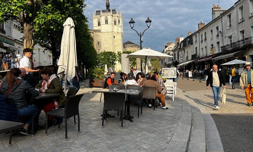 Image 15: Visite privée au départ de Paris: 3 Châteaux de Loire & dégustation...