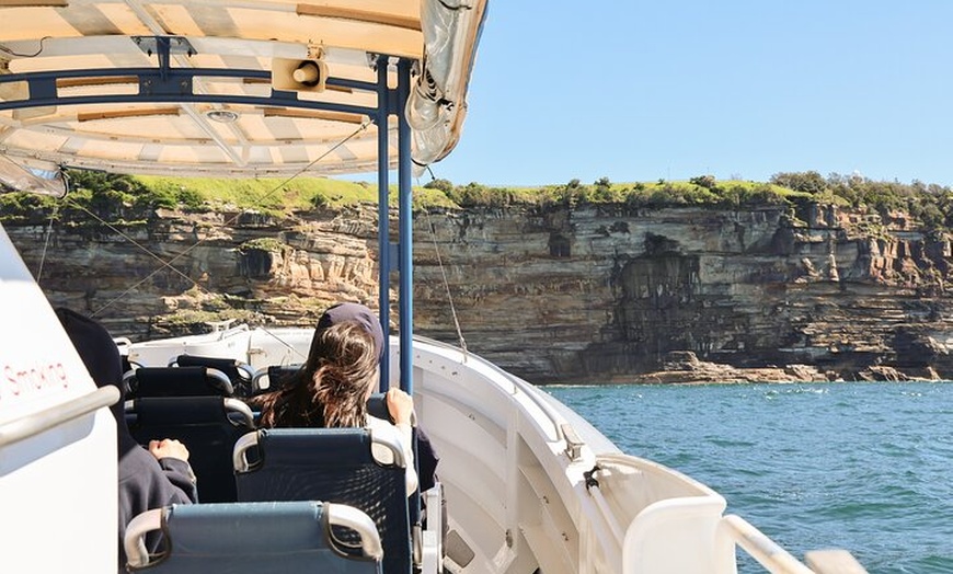 Image 6: 2-Hour Bondi Offshore Express Cruise