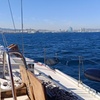 Image 11: Tour privado en velero con aperitivo en Barcelona