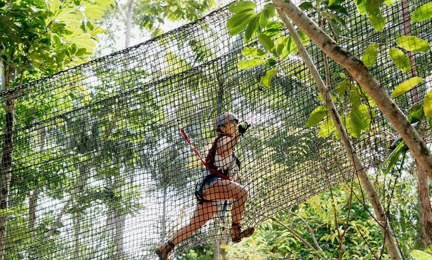 Image 7: Treetop Challenge Adrenaline Pass
