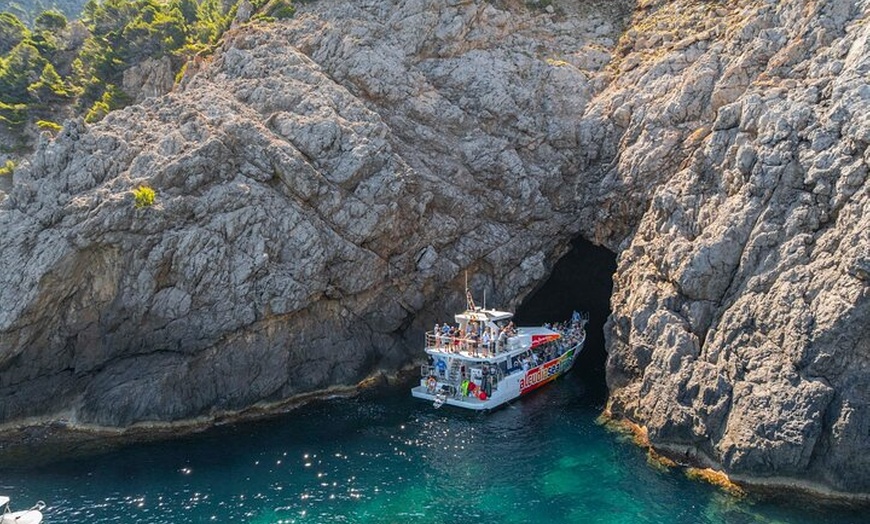 Image 15: Dolphin Adventure : Avistamiento de Delfines en Barco Rápido en Mal...